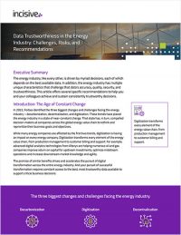 Data Trustworthiness in the Energy Industry
