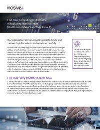 End-User Computing (EUC) Risks: A Comprehensive Guide